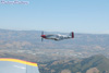 44-74494_03773_cf1.jpg