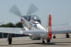 44-74494_03781_cf1.jpg
