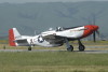 44-74494_03782_cf1.jpg