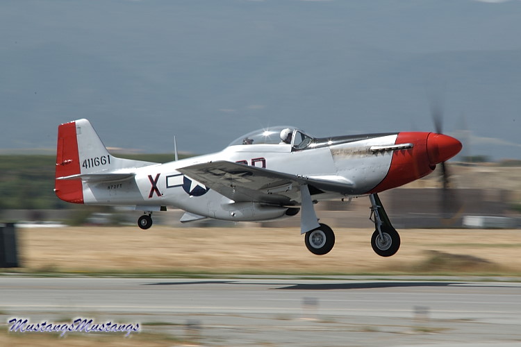 44-74494_03785_cf1.jpg
