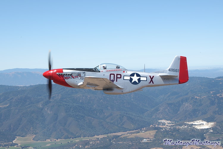 44-74494_03790_cf1.jpg