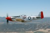 44-74494_8121_cf1.jpg