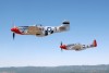44-74494_8122_cf1.jpg