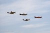 44-74494_8405_cf1.jpg