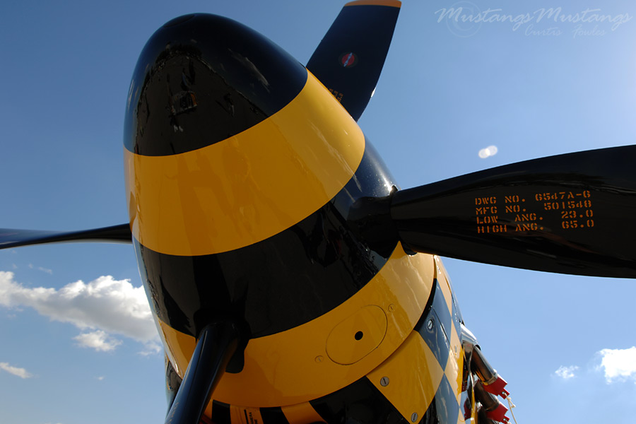 44-74497_03824_cf1.jpg