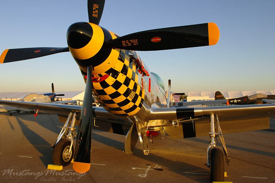 44-74497_03826_cf1.jpg