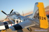 P-51