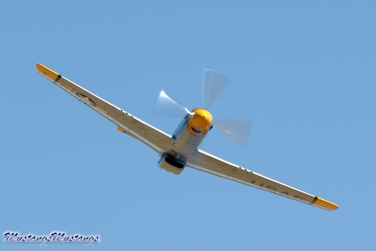 44-74582_04103_cf1.jpg