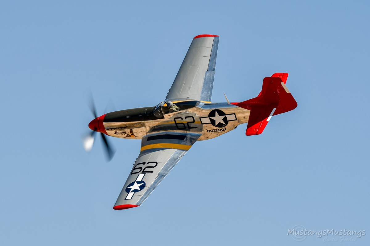 44-74908_9542_cf1.jpg
