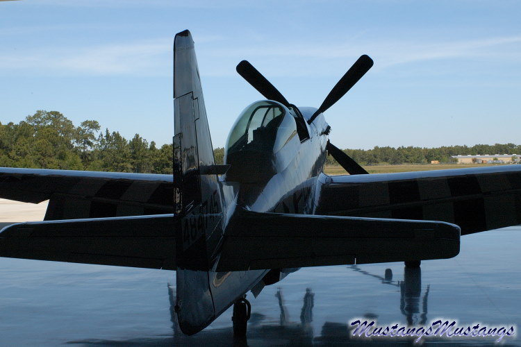 44-84745_04651_cf1.jpg