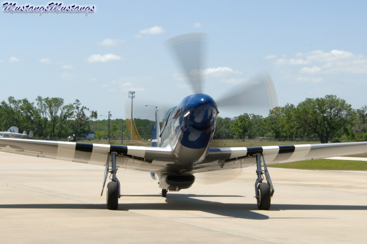 44-84745_04659_cf1.jpg