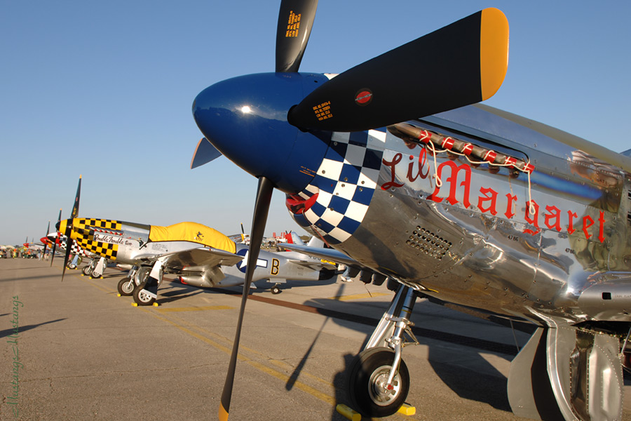 44-84786_04688_cf1.jpg
