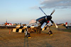 P-51