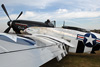 P-51