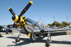 P-51