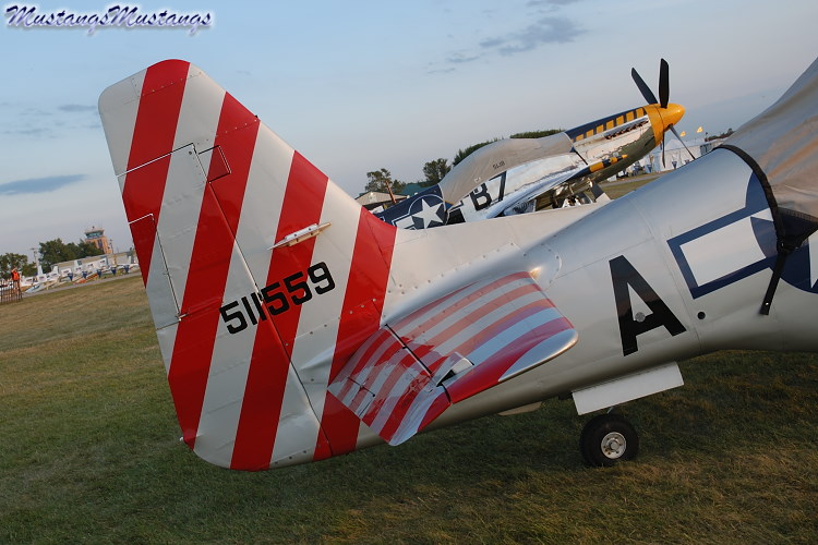 45-11559a_05400_cf1.jpg