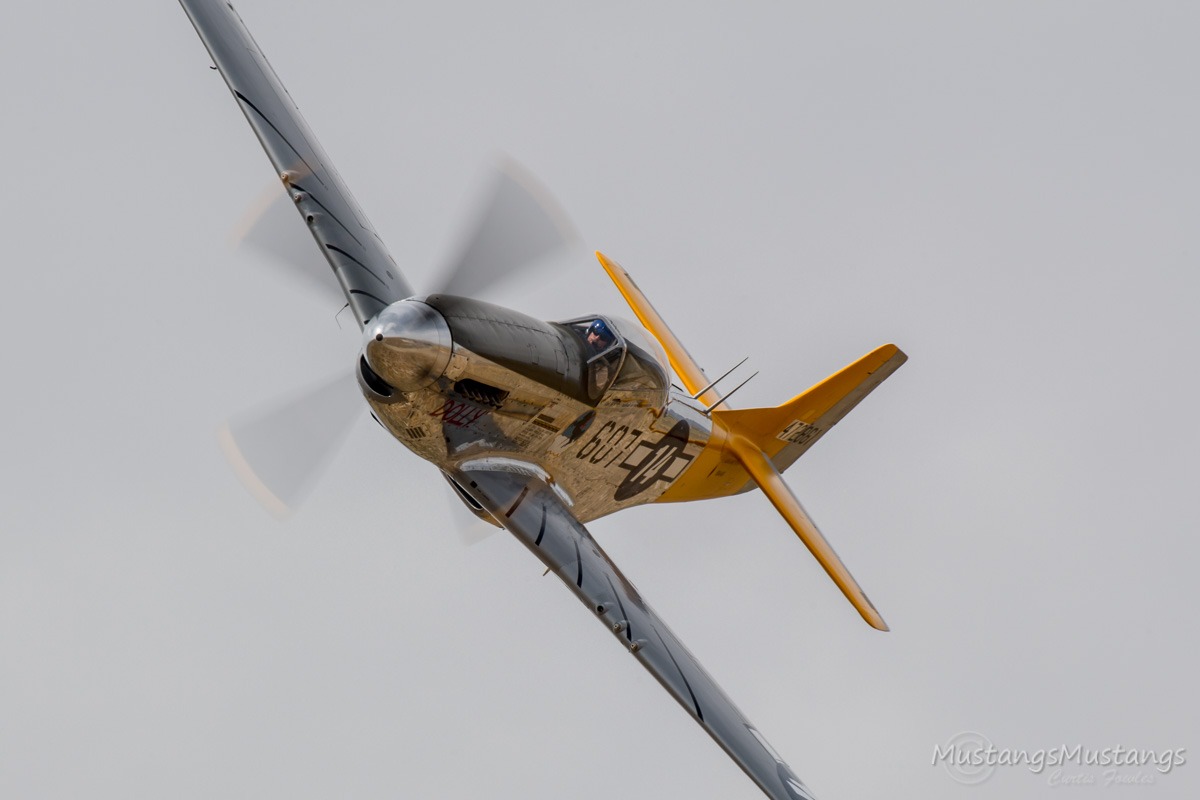 45-11582_9551_cf1.jpg