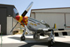 P-51