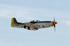 P-51
