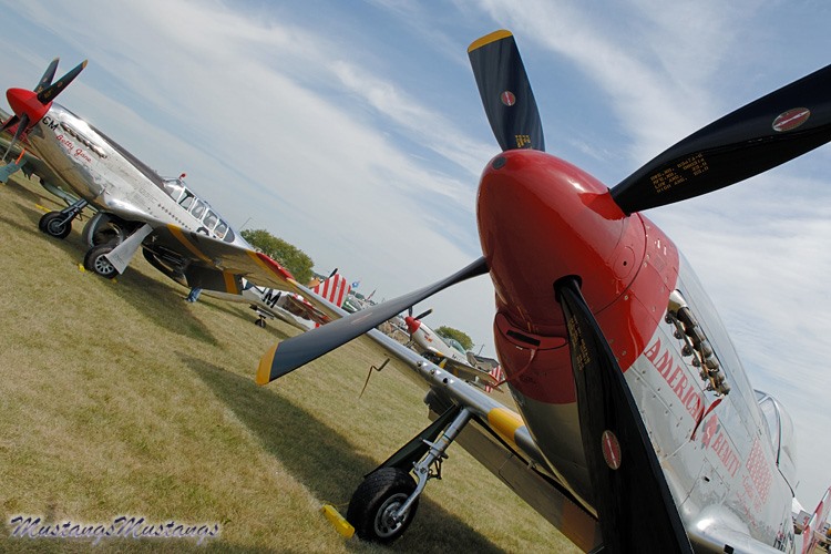 67-22581_05663_cf1.jpg