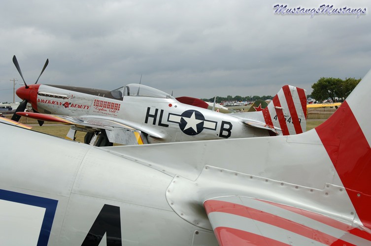 67-22581_05664_cf1.jpg