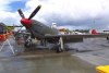 P-51