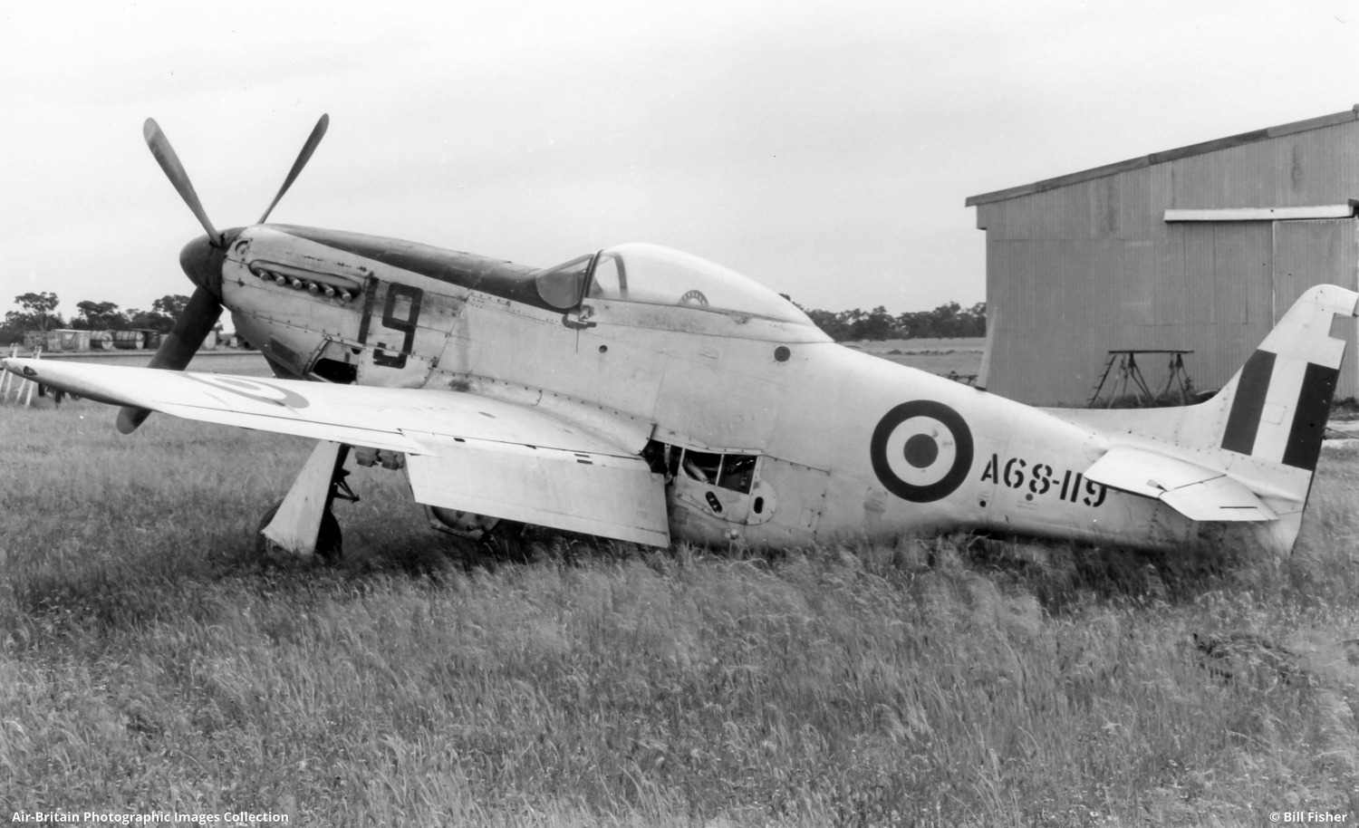 A68-119_10035_bf3.jpg