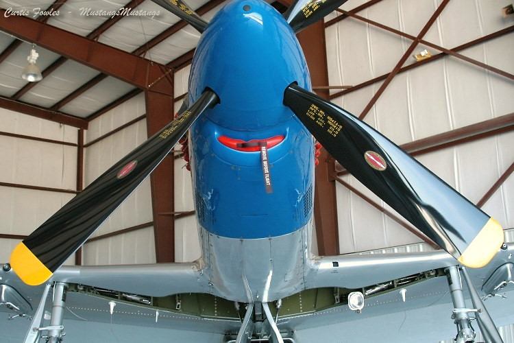 A68-175_05835_cf1.jpg