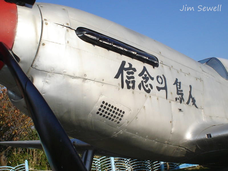 ROKAF669_7871_js6.jpg