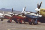 P-51 Who