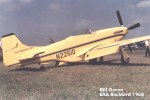 P-51 Who