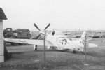 P-51 Who