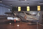 P-51 Who