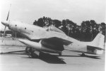P-51 Who