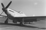P-51 Who