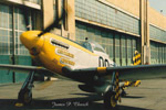 P-51 Who