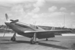P-51 Who