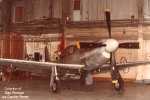 P-51 Who