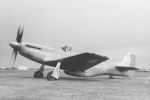 P-51 Who