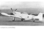 P-51 Who