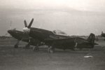 P-51 Who