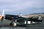 P-51 Who