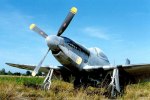 P-51 Who