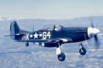 P-51 Who