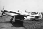 P-51 Who