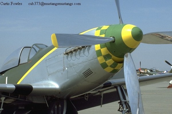 P-51 Who 4