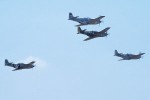 P-51 Who