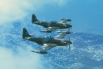 P-51 Who